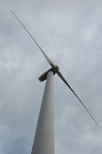 DSC_0587 (1)
