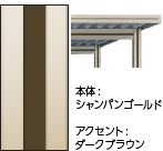 本体：シャンパンゴールド　アクセント：ダークブラウン