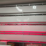 IMG_1305