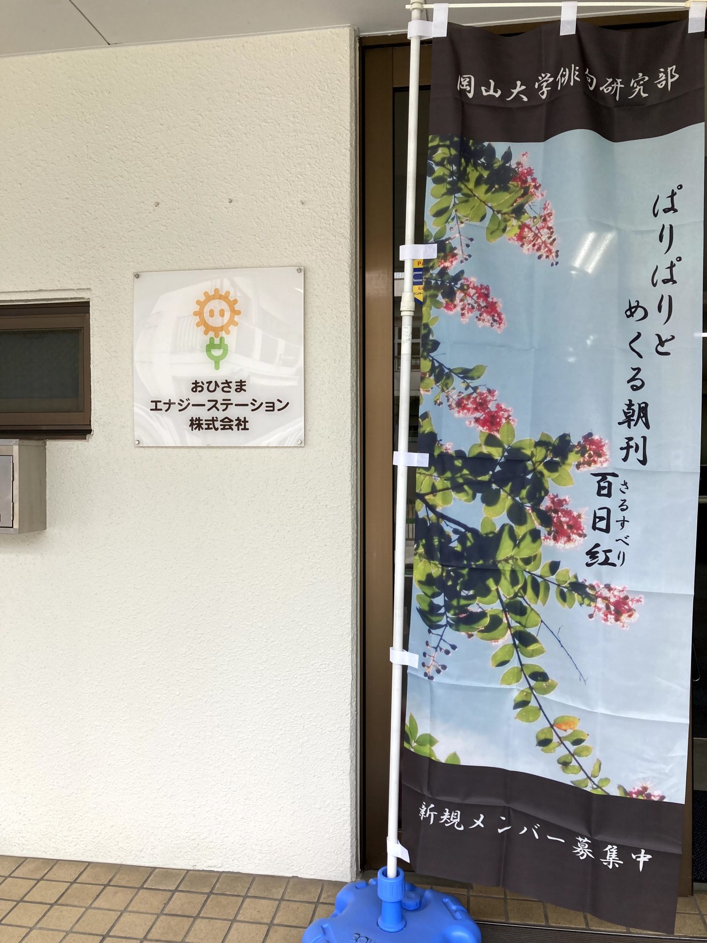 俳句のぼり6月