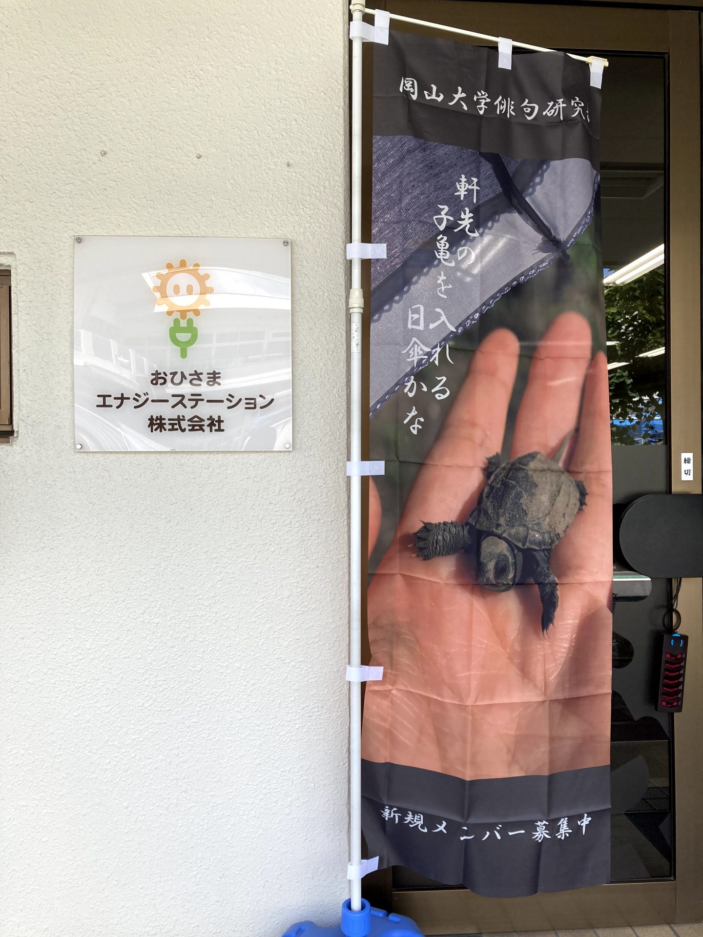 俳句のぼり