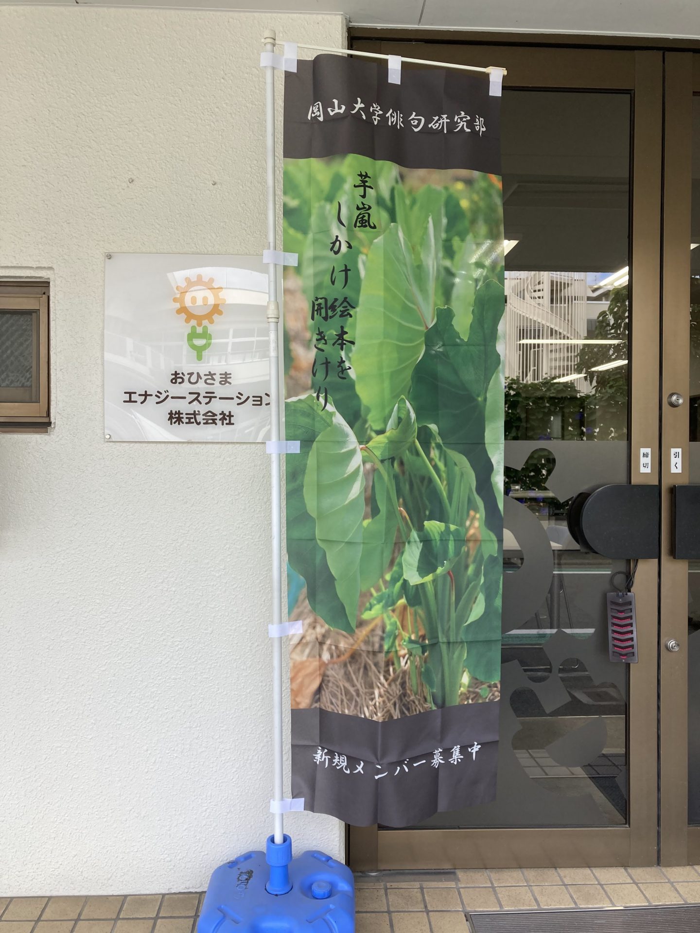 俳句のぼり