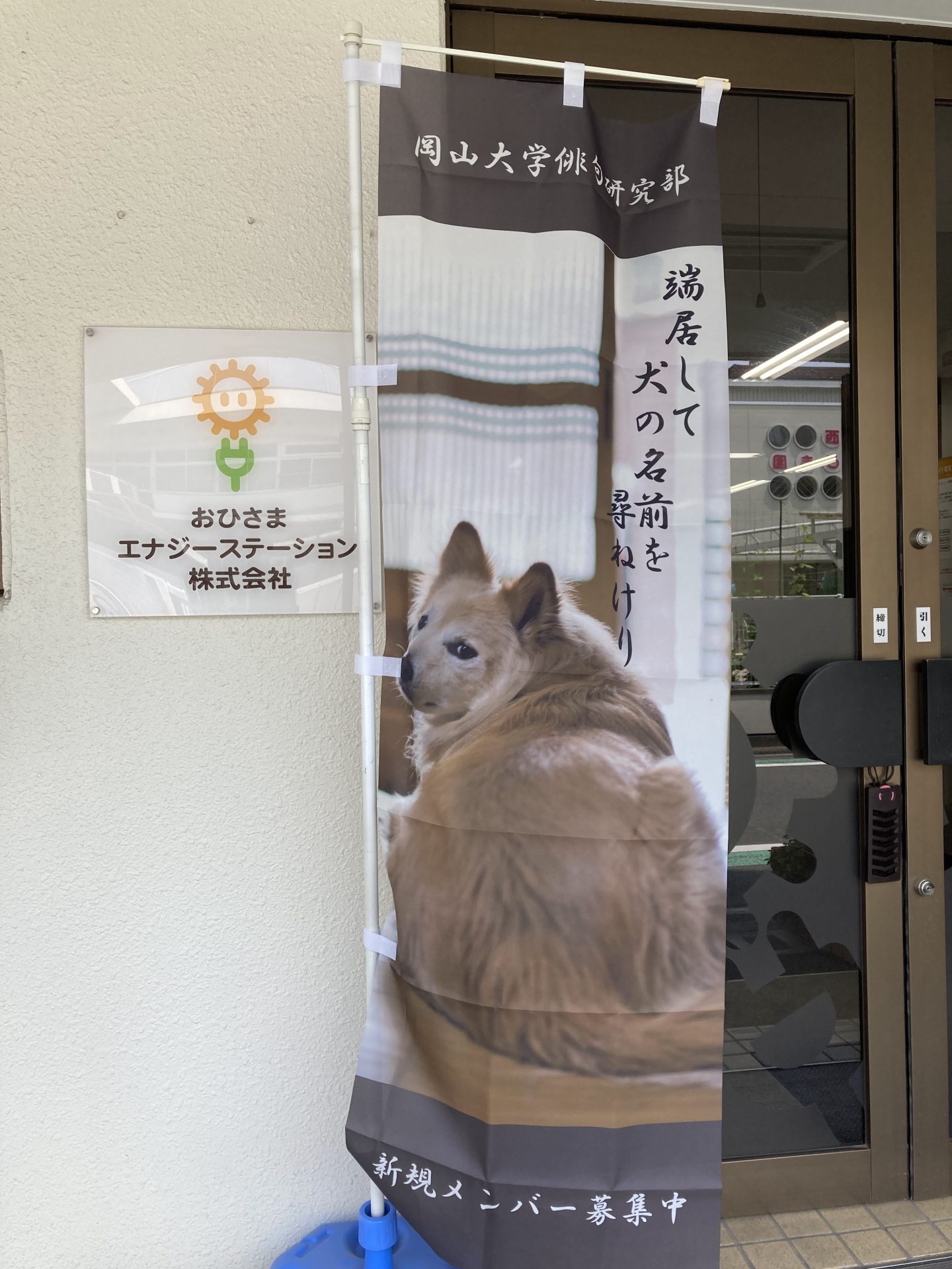 俳句のぼり6