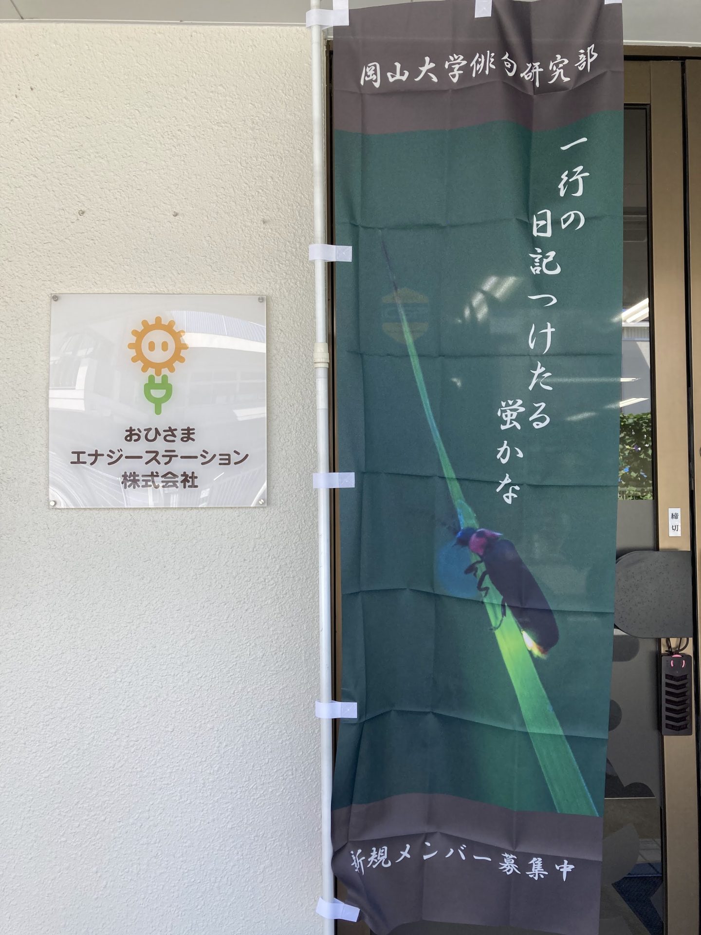 俳句のぼり