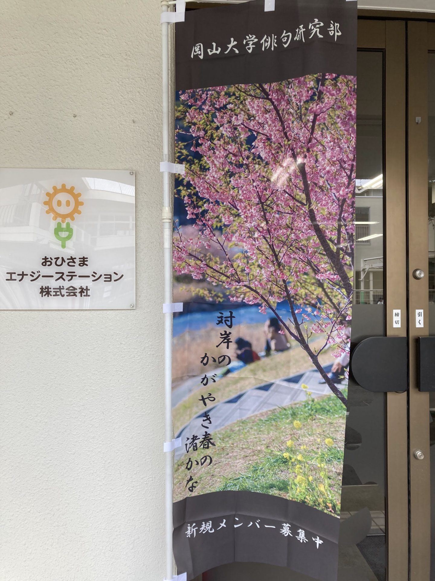 俳句のぼり（3月）