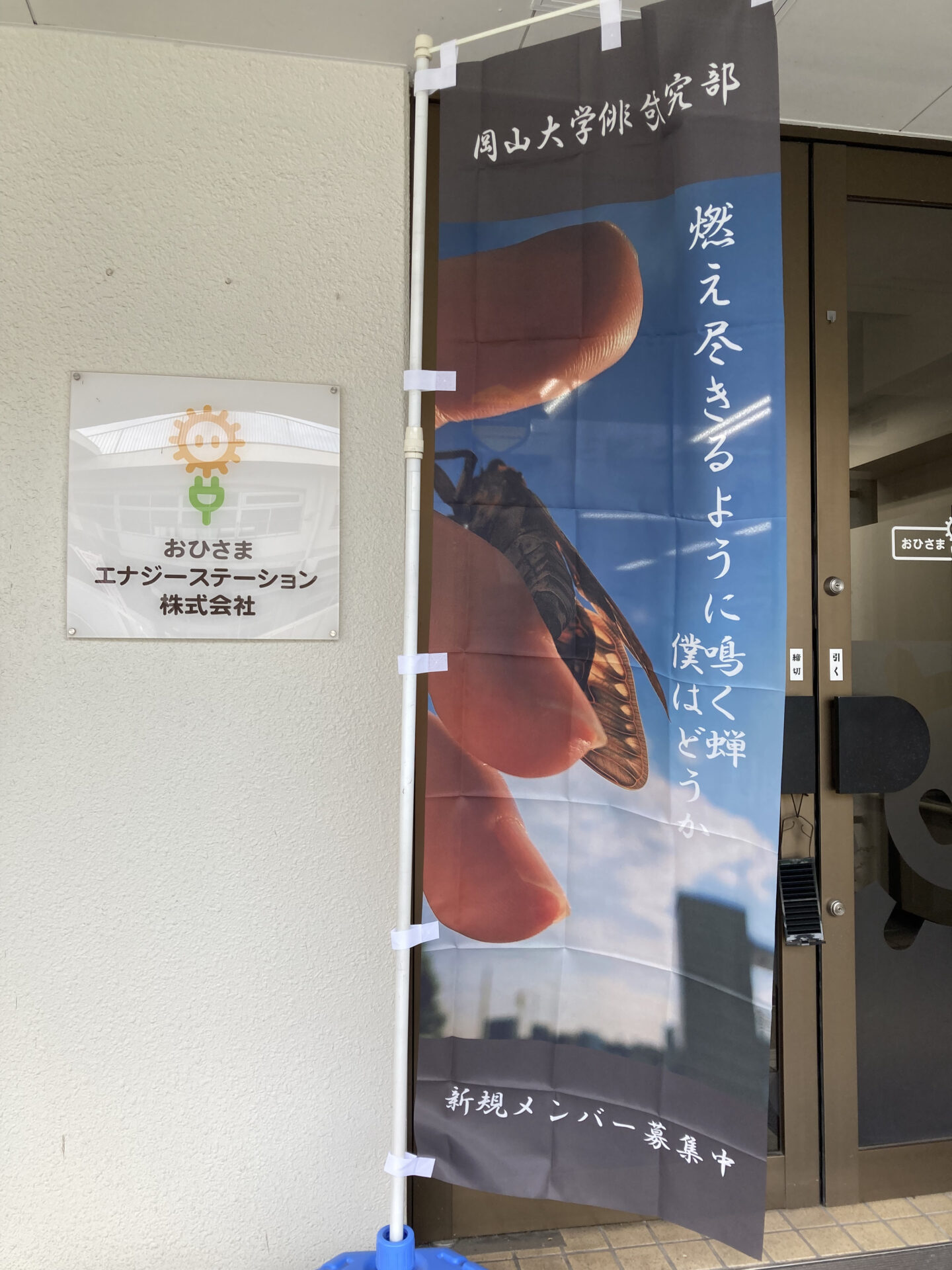 俳句のぼり８月