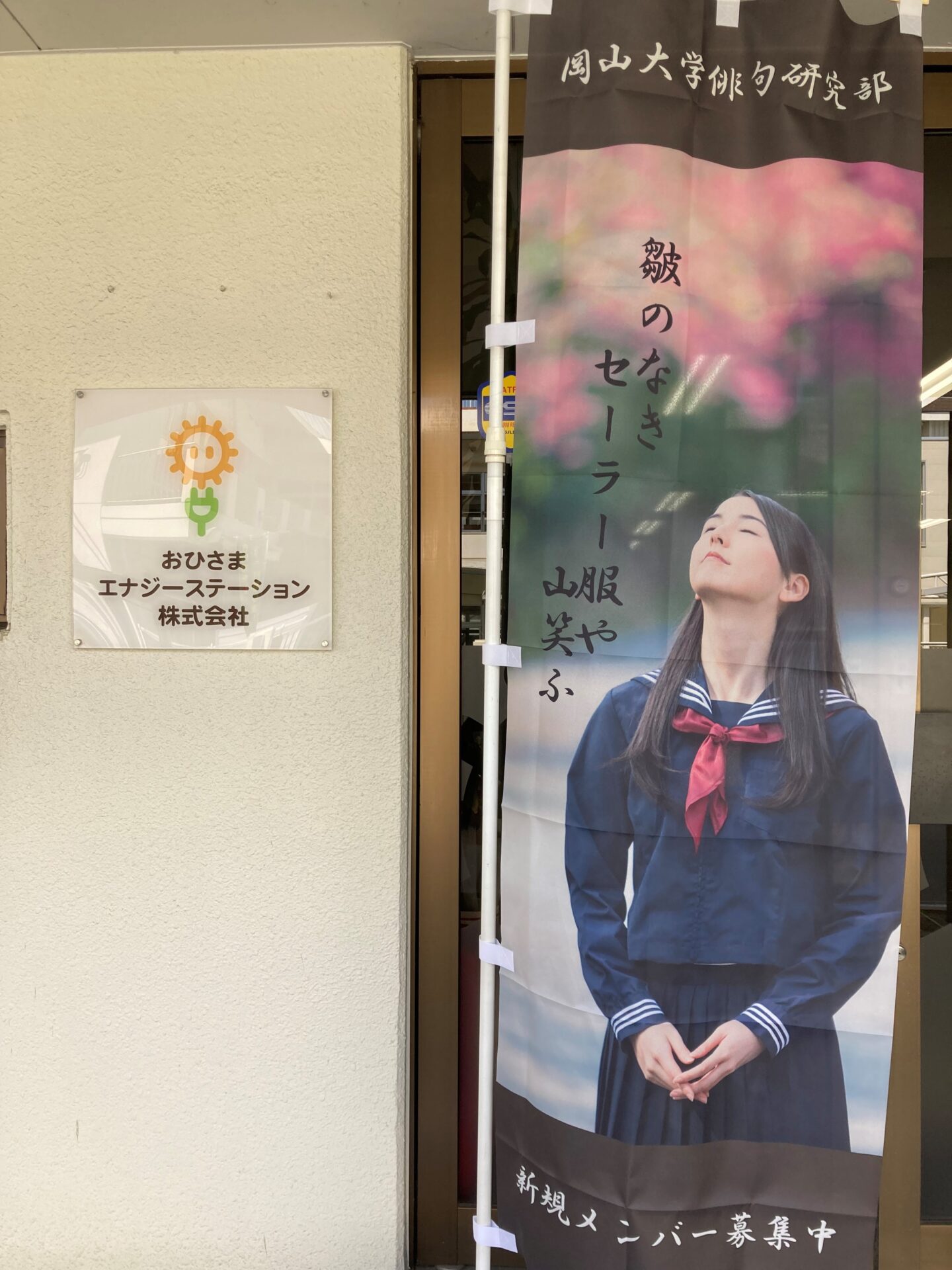俳句のぼり