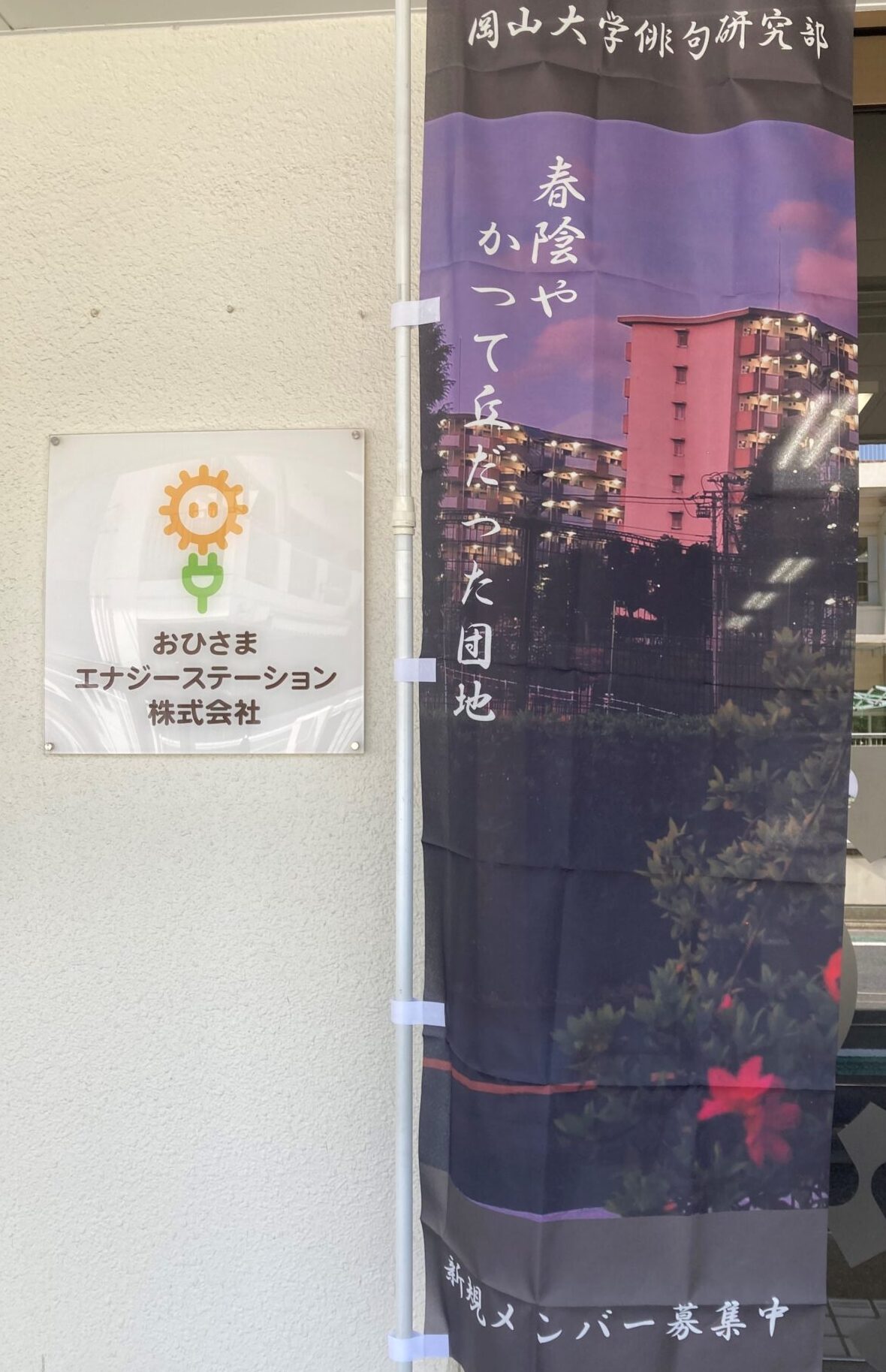 俳句のぼり５月